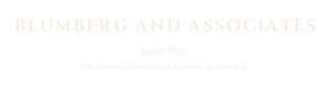 blumberg-and-associates.webp